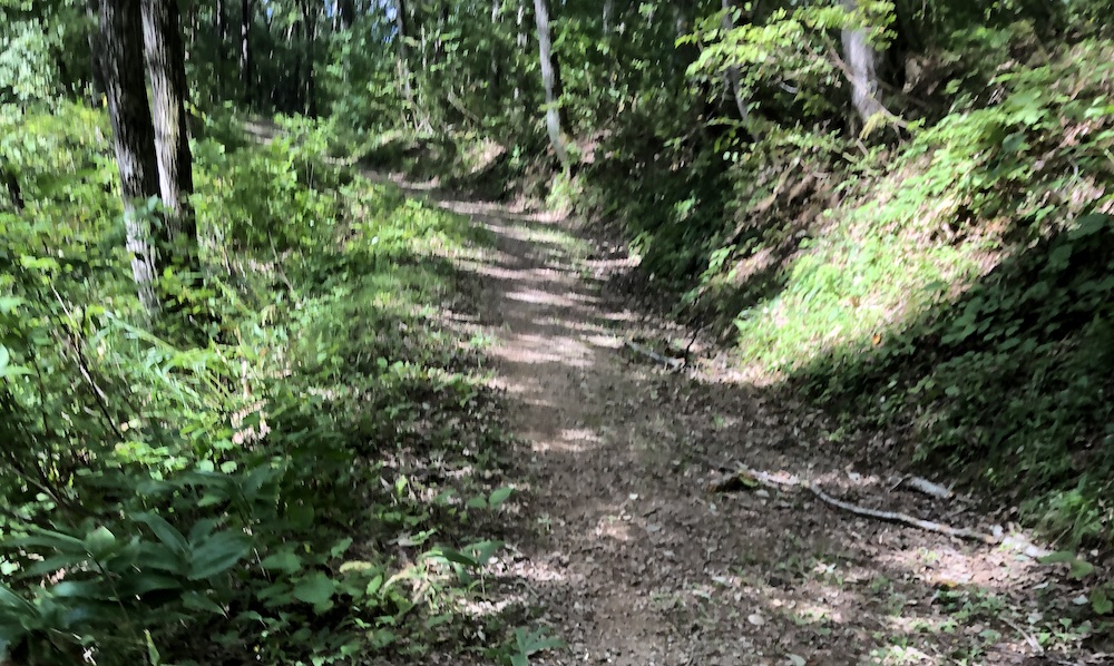 GRANFONDO MYOKO 